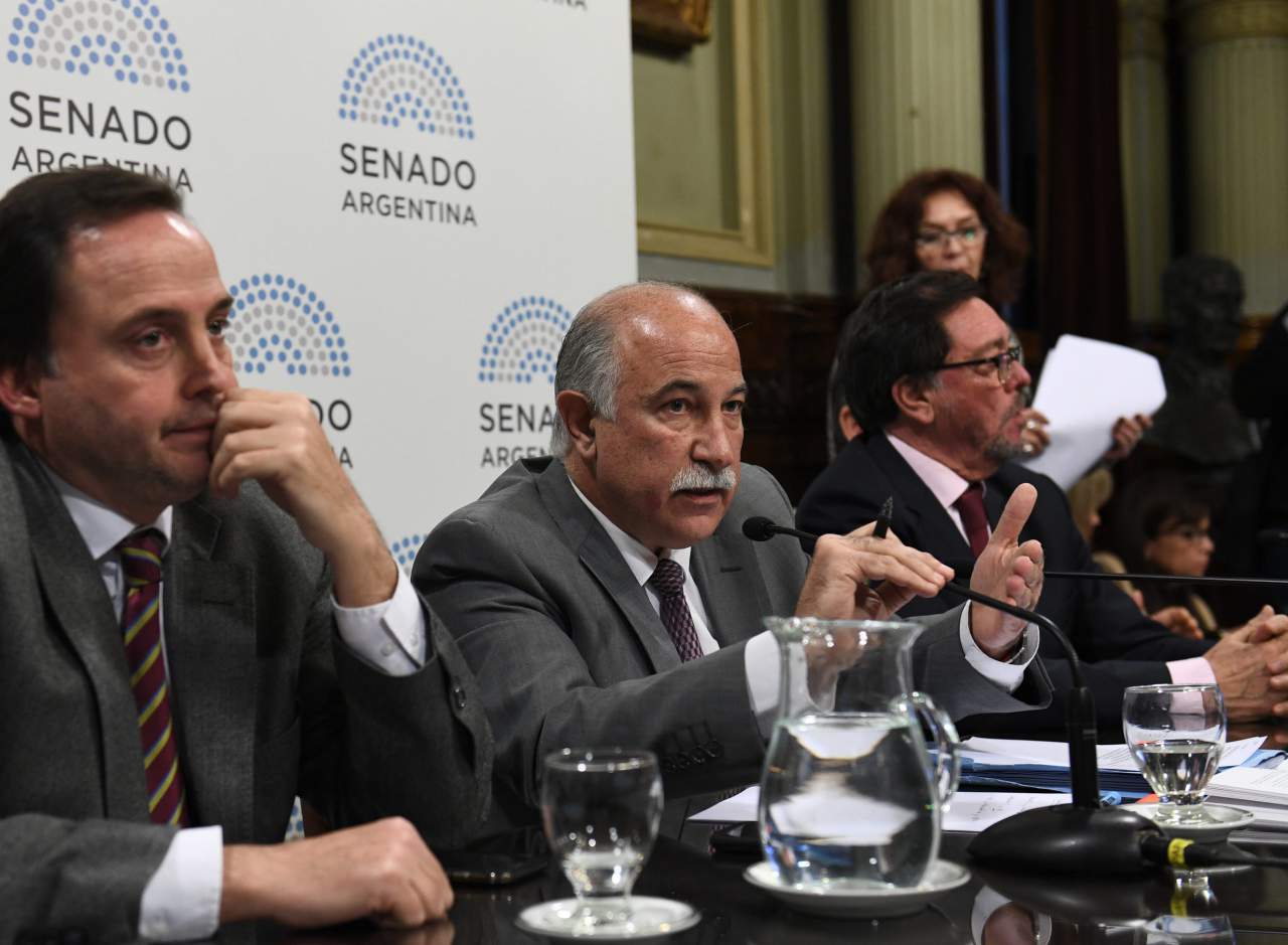 Fiad remarcó la transparencia, pluralidad, tolerancia y respeto del debate por la legalización del aborto en el plenario de comisiones