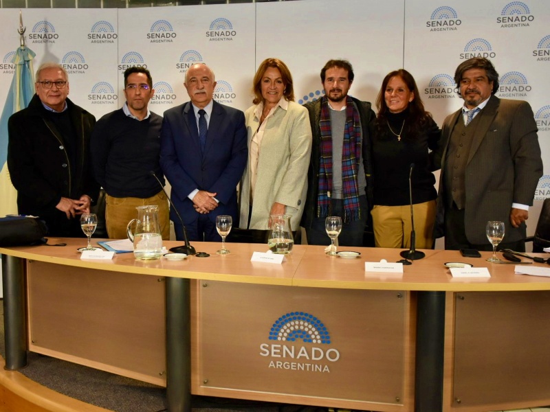 Fiad encabezó la segunda jornada sobre Salud Mental en el Senado