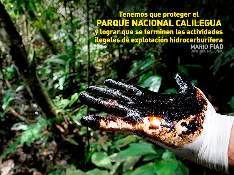 Fiad se sumó a la campaña de Greenpeace para frenar la explotación en el Parque Nacional Calilegua